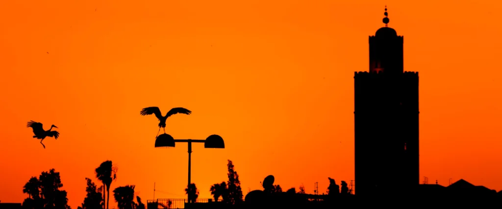 excursions marrakech