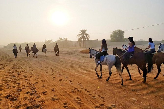 Paseos a caballo por la palmera
